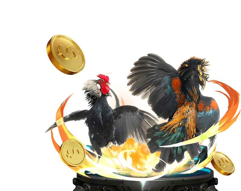 Hướng dẫn đăng ký và chơi chọi gà tại jb88 casino