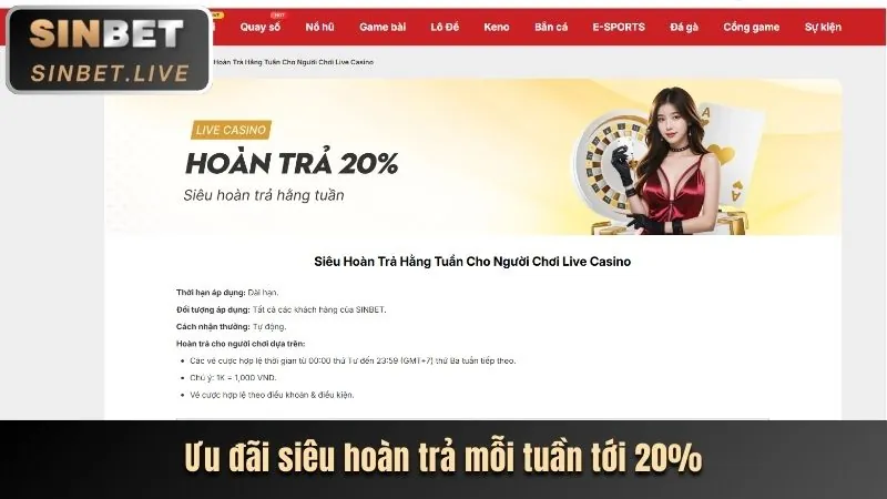 Biểu tượng hoàn trả tiền cá cược thể thao jb88 casino